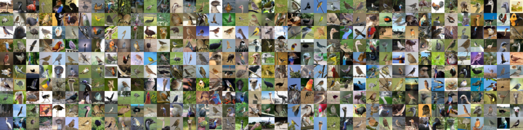 تصاویر پرندگان مجموعه داده